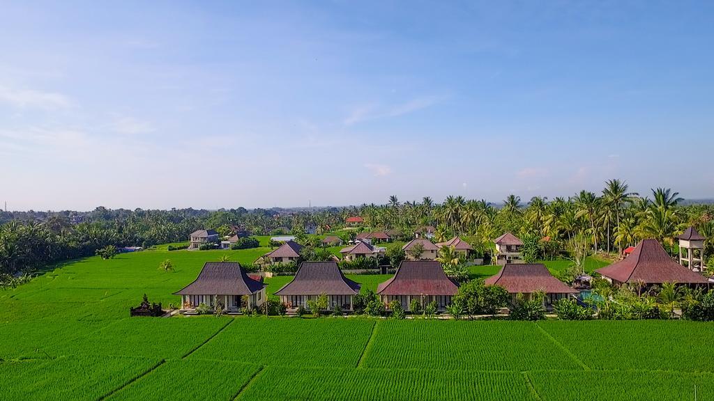 มาเซีย วิลลา Hotel อูบุด ภายนอก รูปภาพ