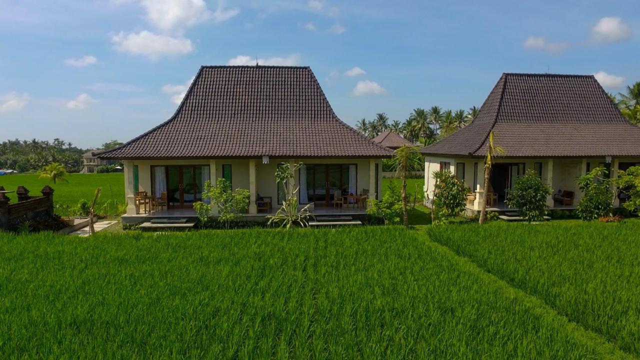 มาเซีย วิลลา Hotel อูบุด ภายนอก รูปภาพ